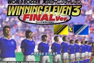 معلق اليابانية: المصريون كانوا على حق بإشراك روبيرتو كارلوس في الهجوم