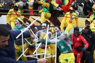 أحكام بالسجن بين 3 أشهر وسنة واحدة في حق المشجعين المتورطين في أحداث نهائي الكان